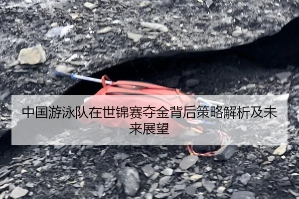 中国游泳队在世锦赛夺金背后策略解析及未来展望