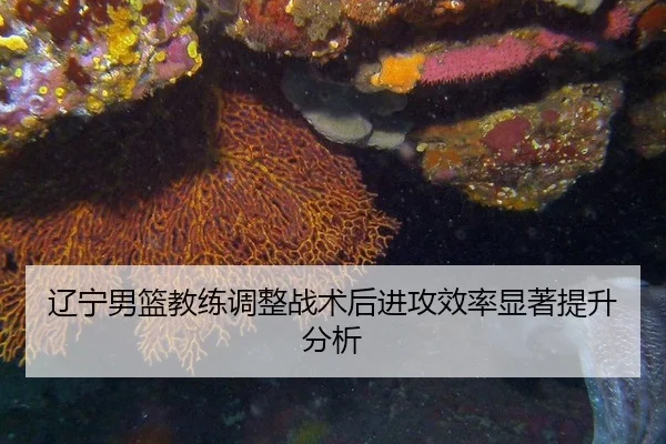 辽宁男篮教练调整战术后进攻效率显著提升分析